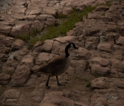2022 05 28 SD 049